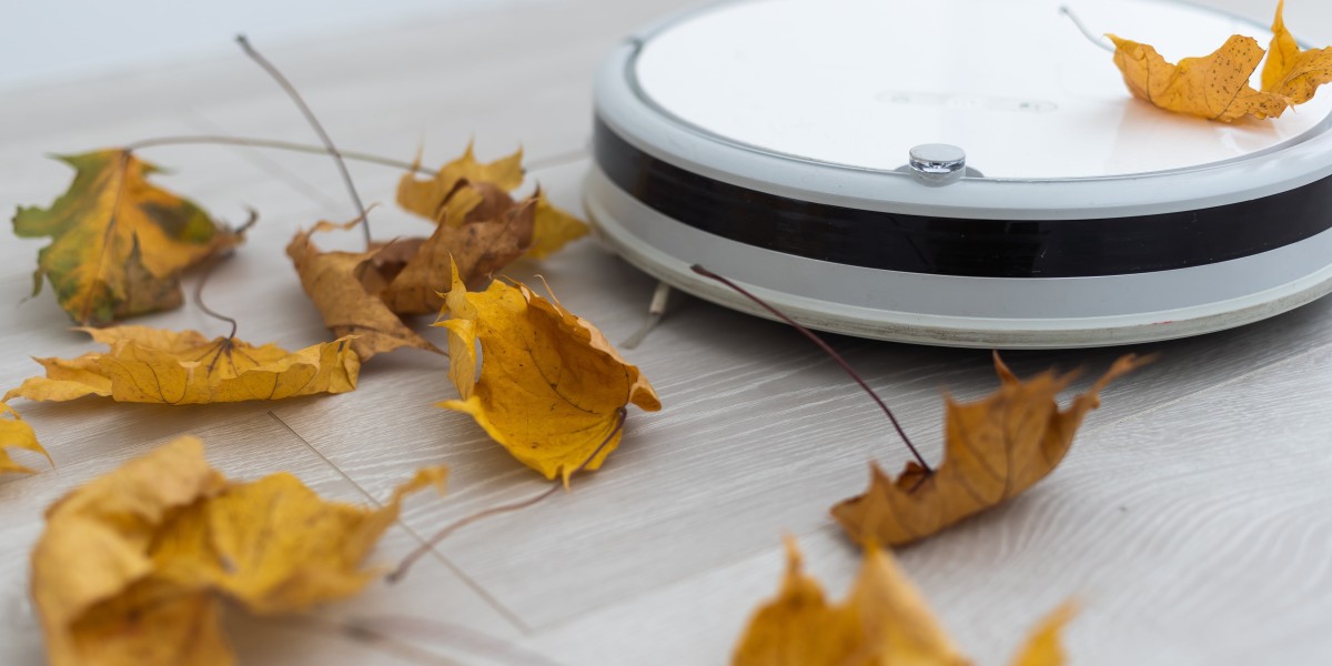 How Much Can Robot Vacuum Reviews Experts Earn?