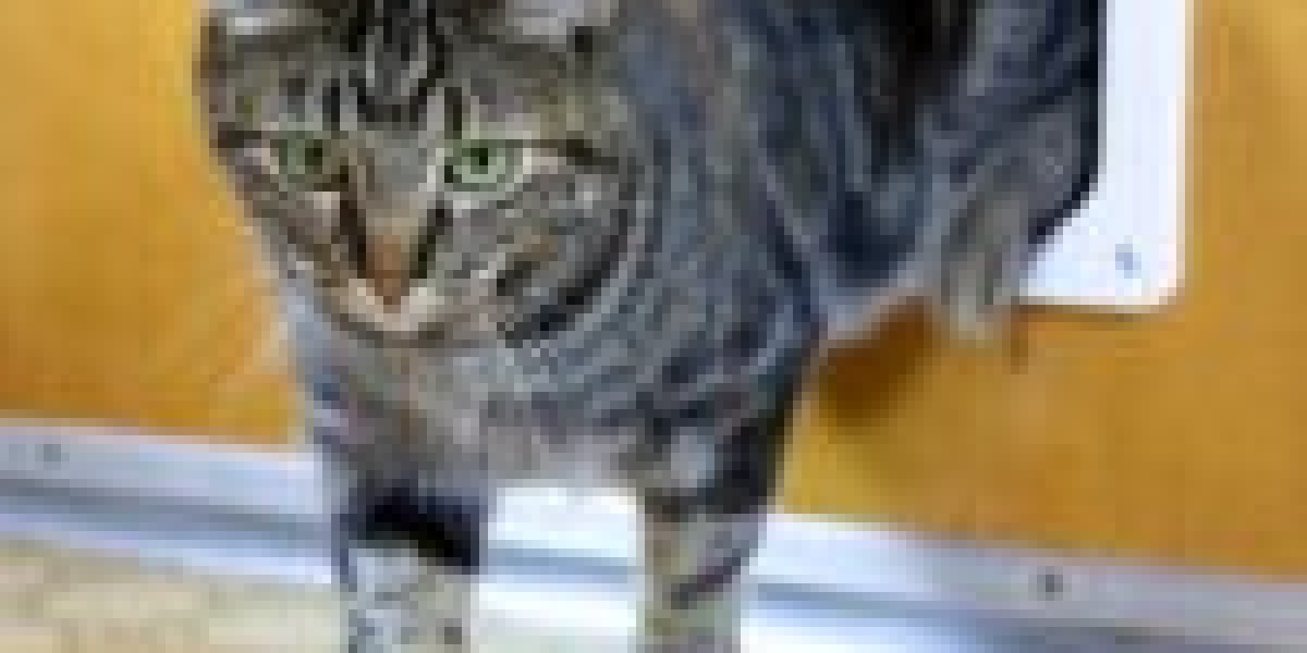 It's The Good And Bad About Trained Cat Flap Fitter