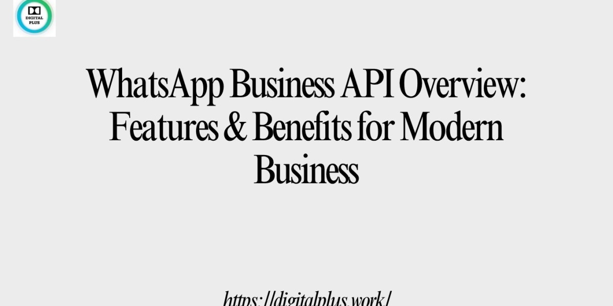 WhatsApp Business API Overview: Features & Benefits for Modern Business